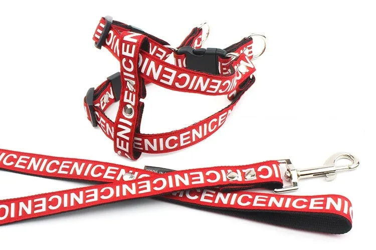 Casual PET polyester traction dog collar in black, red, and yellow options on a white background