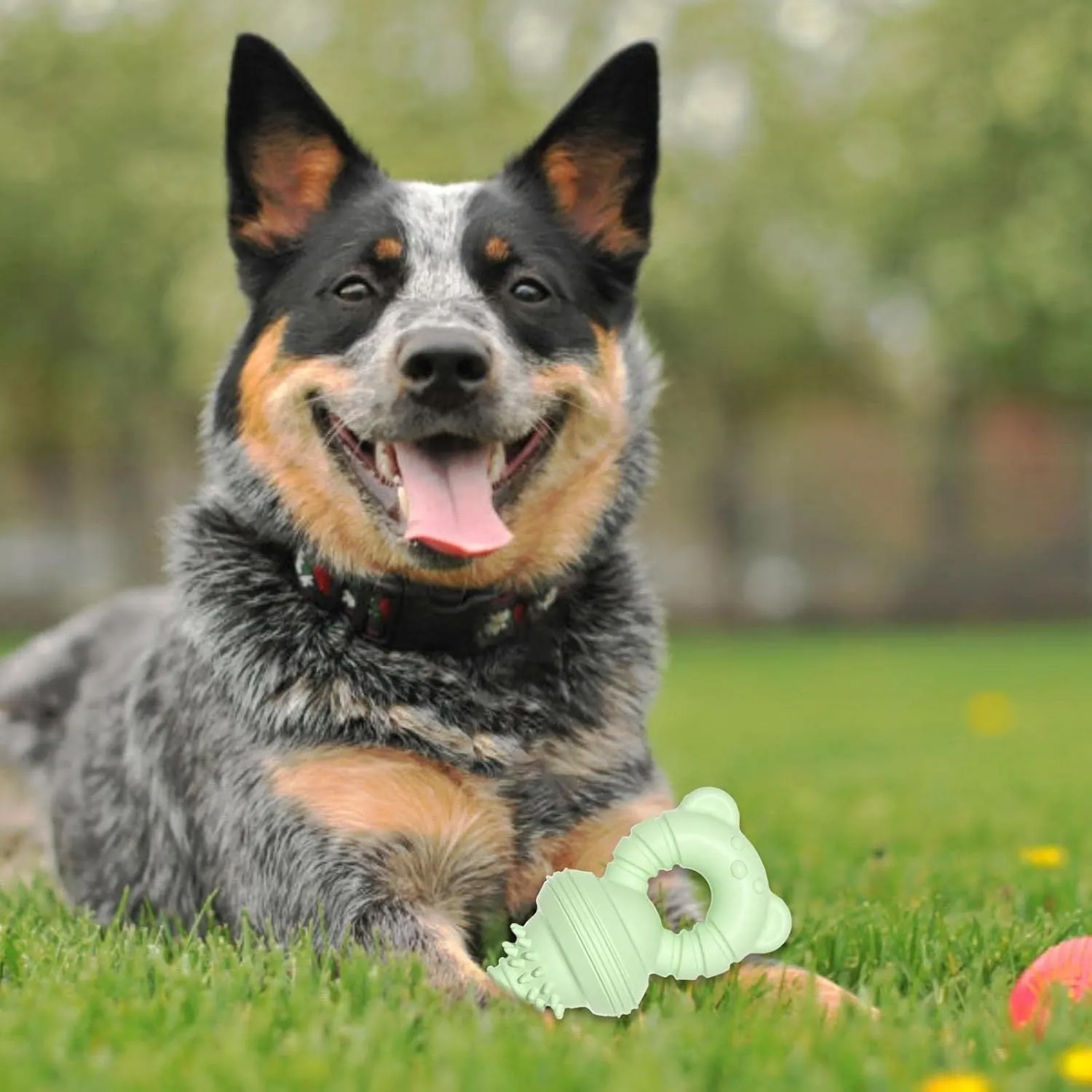 Blue rubber dog chew toy with concave-convex surface for cleaning teeth