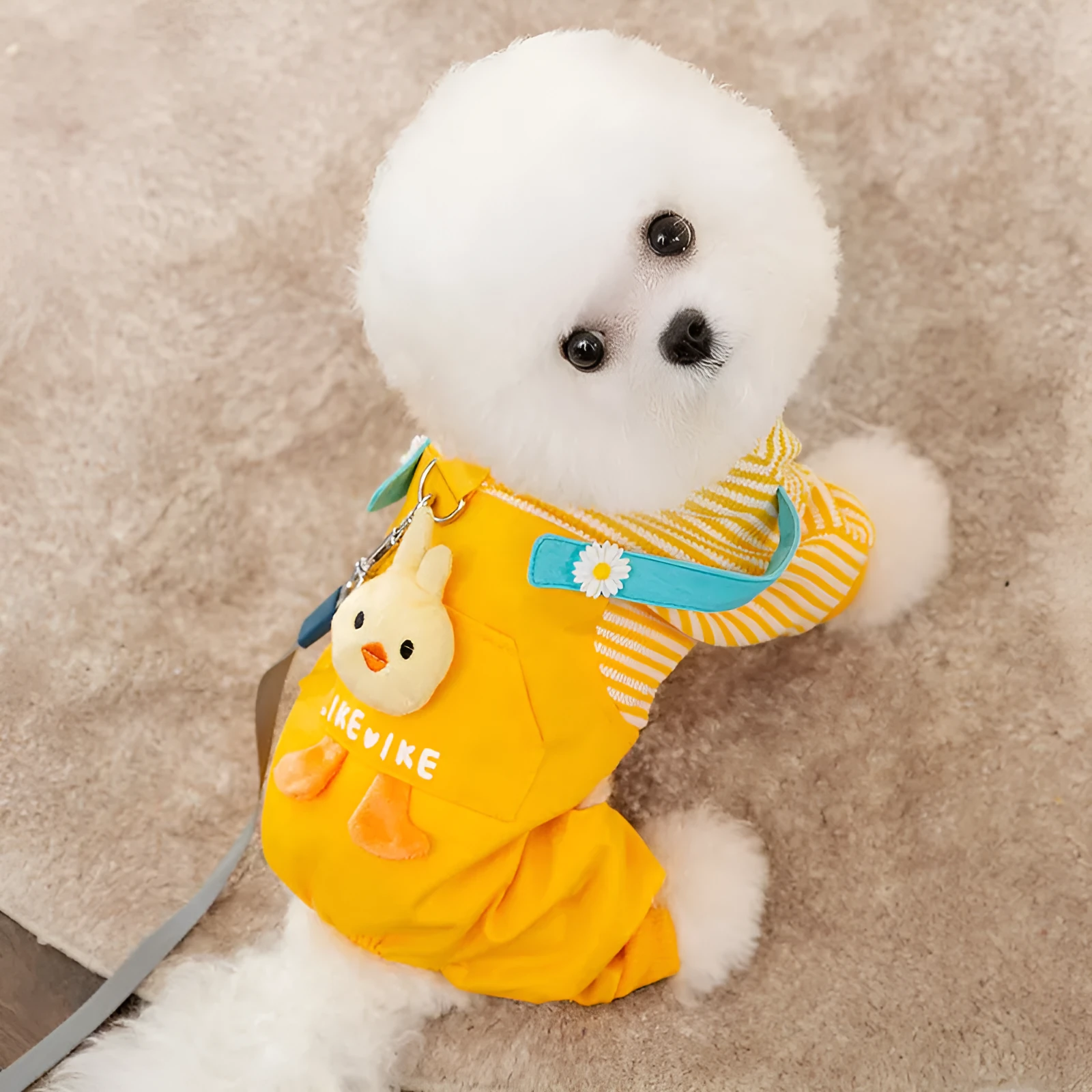 Autumn yellow polyester dog coat with three-dimensional chicken design, front view showing playful motif