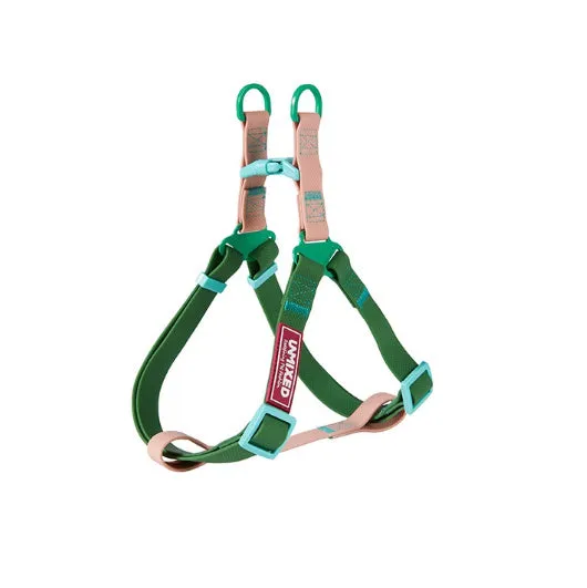 PVC waterproof dog outing set with hand holding rope, chest and back collar in crimson colour