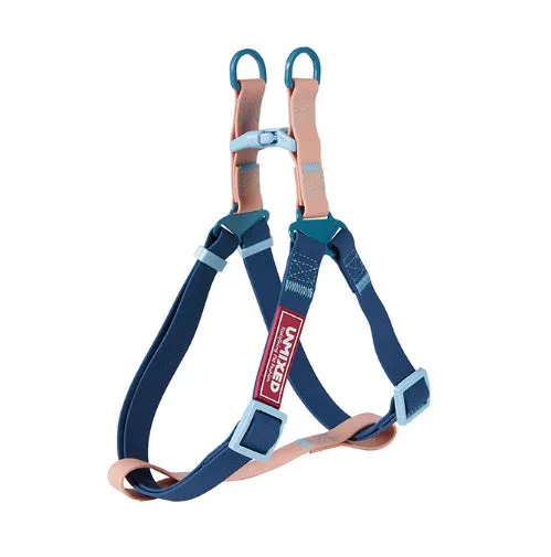PVC waterproof dog outing set with hand holding rope, chest and back collar in crimson colour