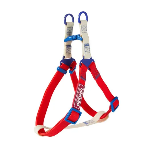 PVC waterproof dog outing set with hand holding rope, chest and back collar in crimson colour