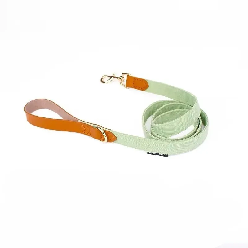 Dog collar with lettering and bowknot leather hand holding rope set in creamy green colour for small dogs