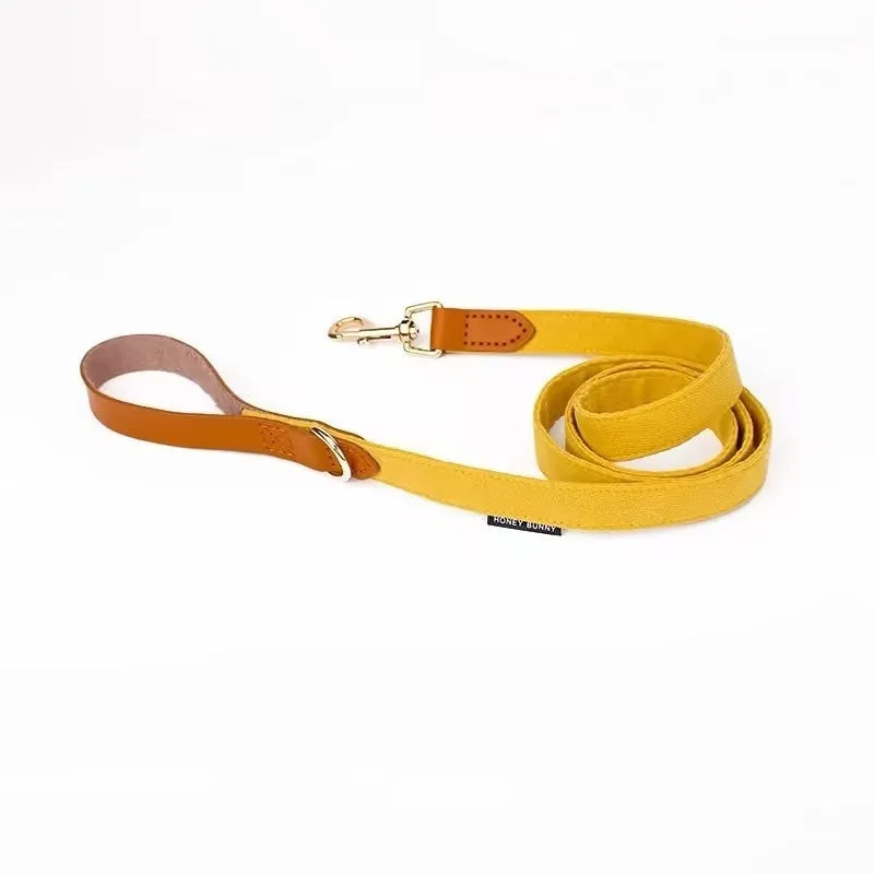 Dog collar with lettering and bowknot leather hand holding rope set in creamy green colour for small dogs