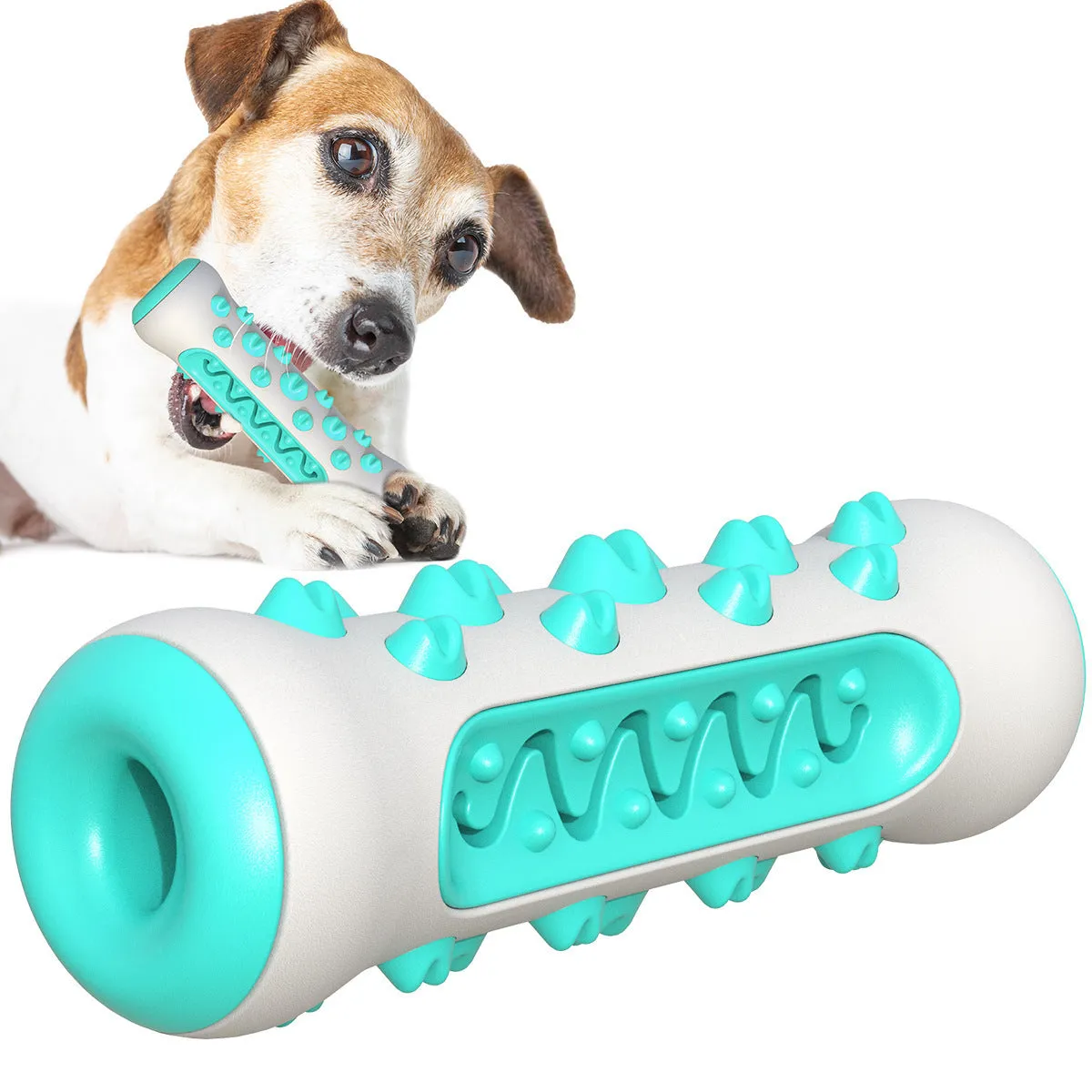 Natural rubber dog dental chew toy in four colours, showing textured surface for teeth cleaning.