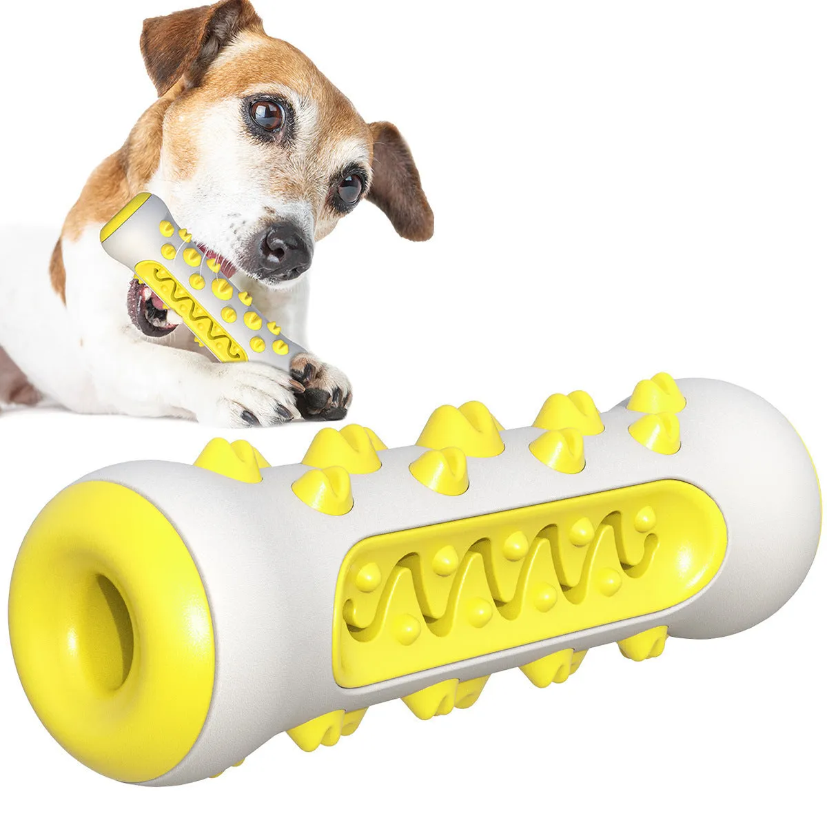 Natural rubber dog dental chew toy in four colours, showing textured surface for teeth cleaning.