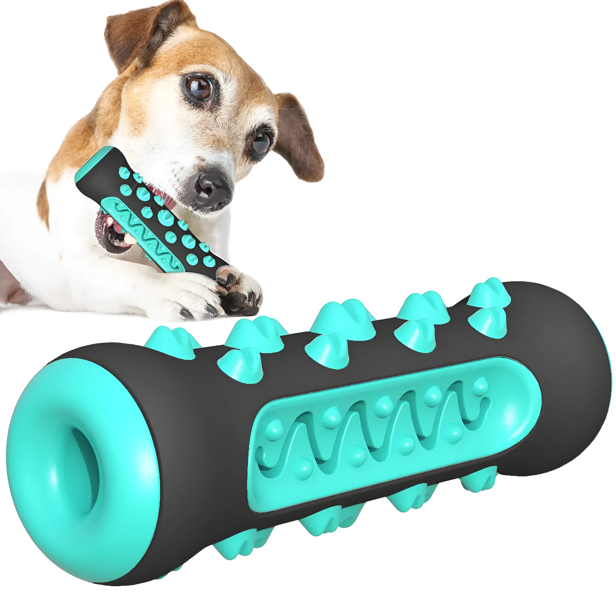 Natural rubber dog dental chew toy in four colours, showing textured surface for teeth cleaning.