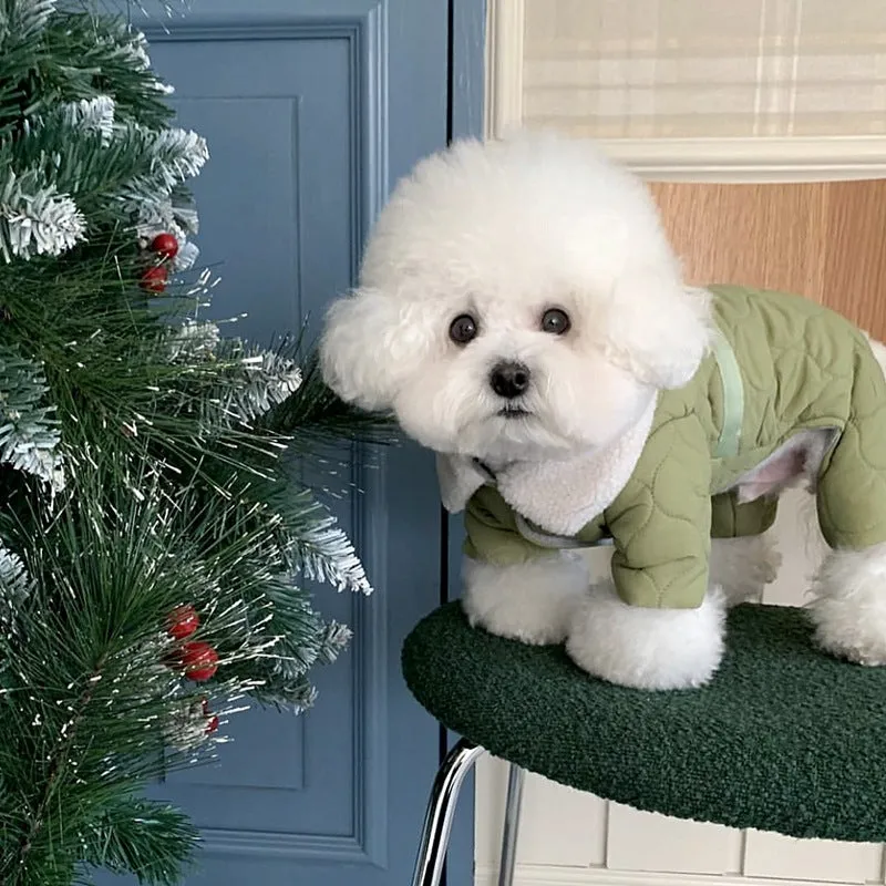 Dog wearing a four-legged cotton-padded winter coat in Small Green Fish pattern
