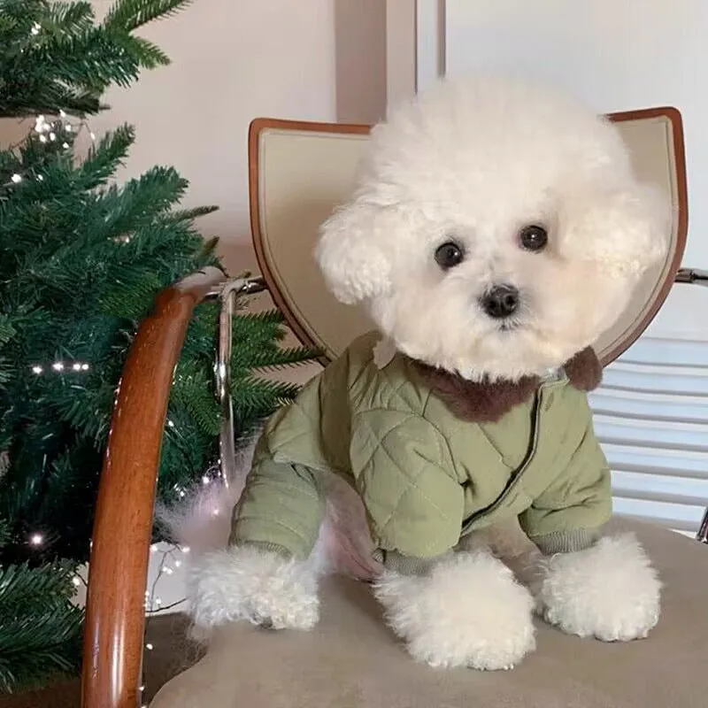 Dog wearing a four-legged cotton-padded winter coat in Small Green Fish pattern