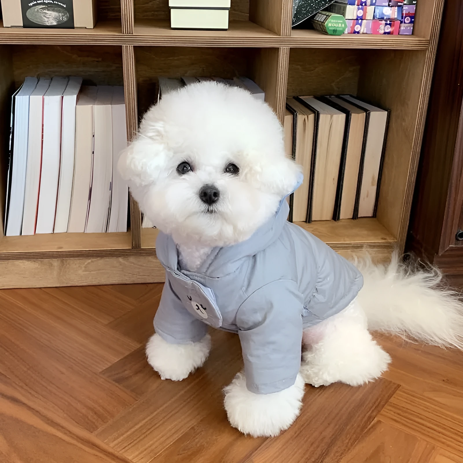 Bixin pet coat in beige for small dogs and cats with button closure