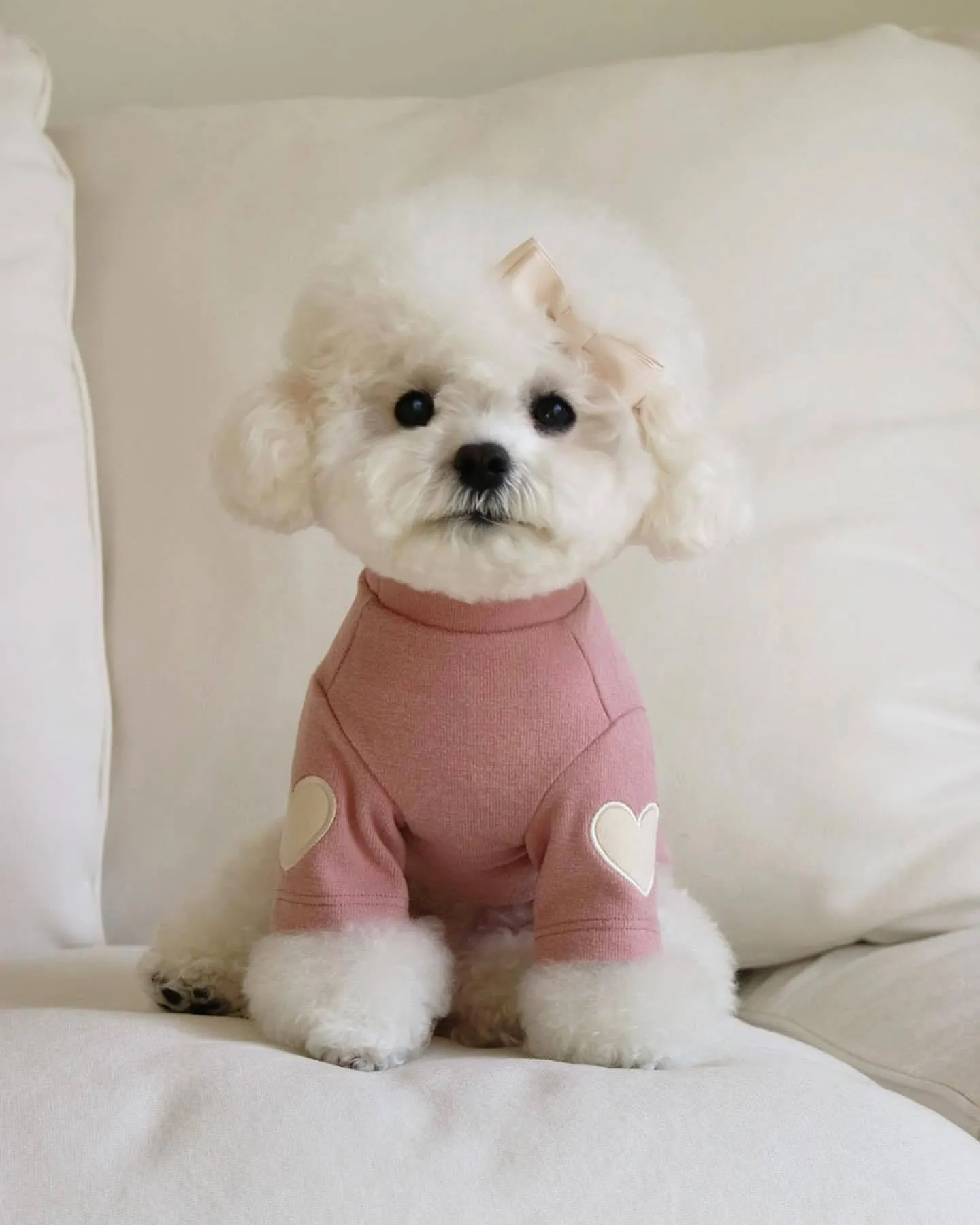 Autumn winter dog sweater in beige with embroidered design, suitable for small to large pets
