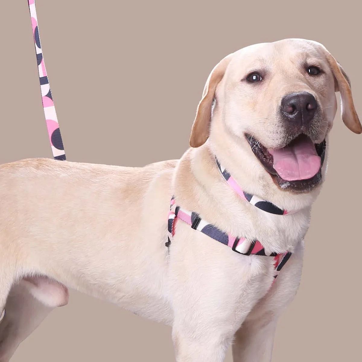 Polyester dog leash collar three-piece set in pink white with hand held rope