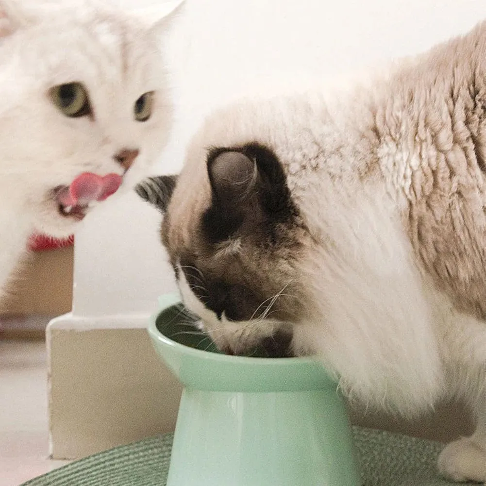 Ergonomic tilted raised plastic cat food bowl in blue with non-slip base for anti vomiting feeding