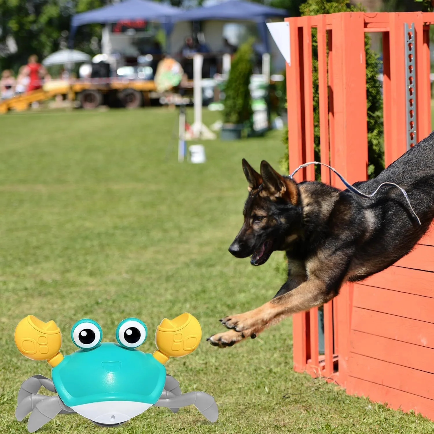 Blue crawling crab dog toy with obstacle avoidance sensors and LED lights