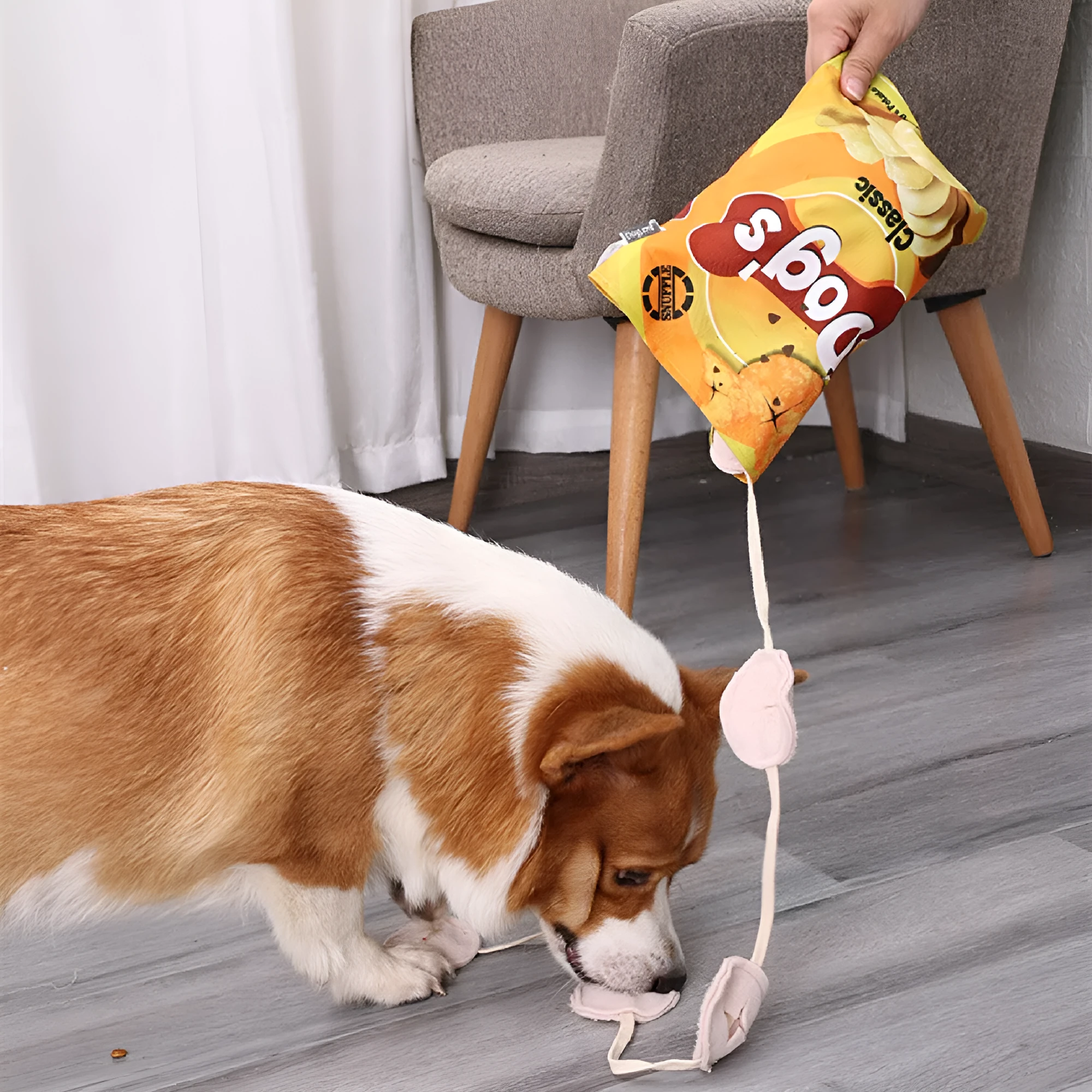 Dog fashion personality potato chips plush toy in yellow, green, and blue colours with polyester construction