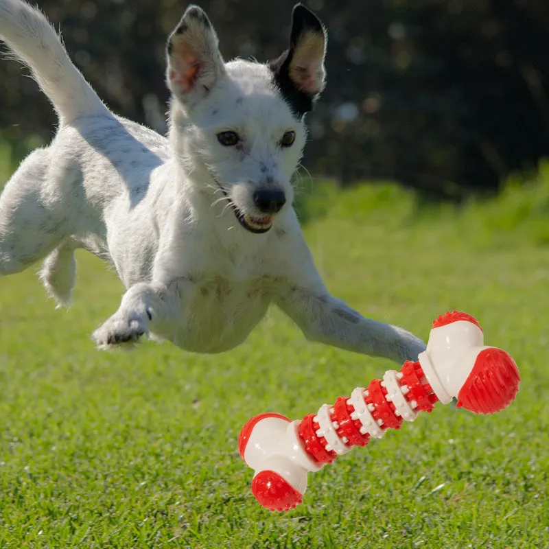 Blue bone-shaped interactive dog toy with treat compartment for small breed puppies