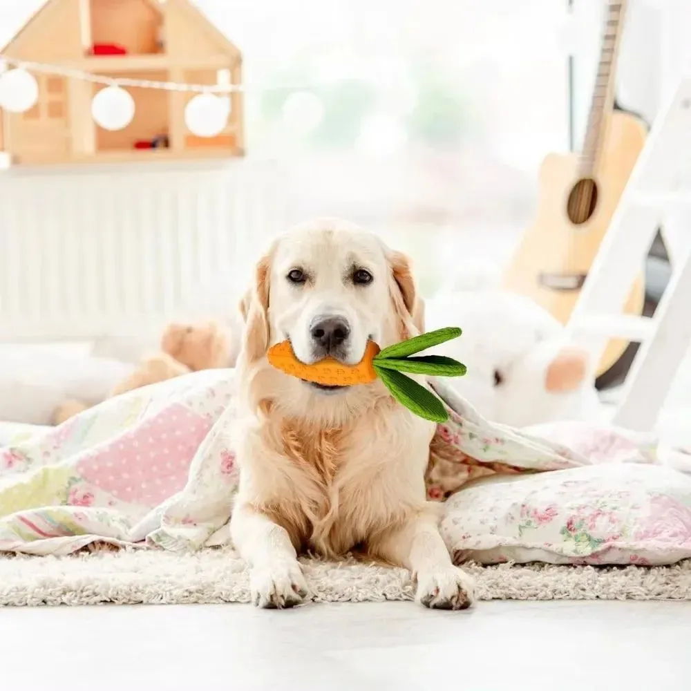 Orange carrot-shaped dog chew toy made of rubber and plush, measuring 21x5x5cm with a squeaker