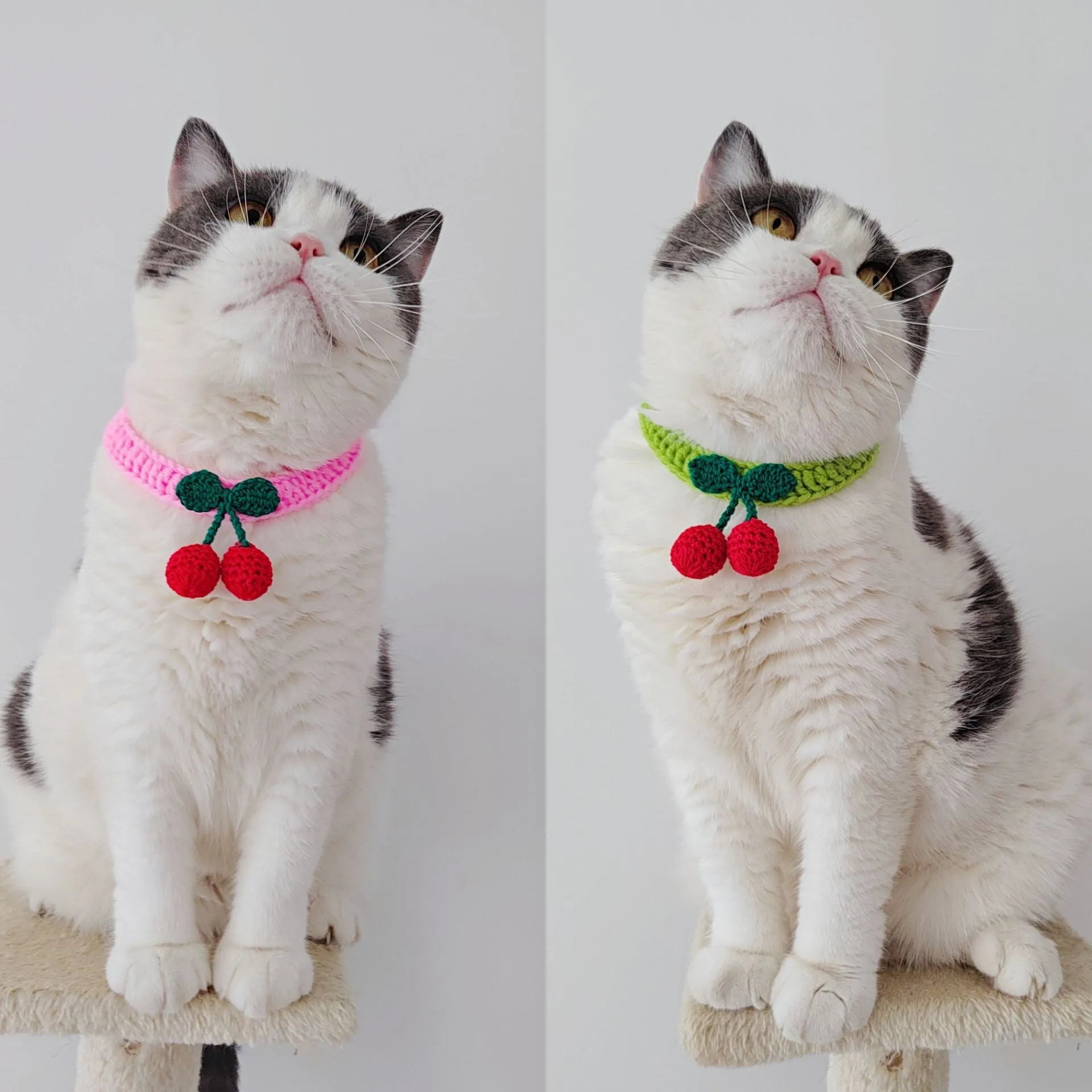 Handmade knitted cat collar in cotton thread with fruit pattern, free size 60cm, princess style