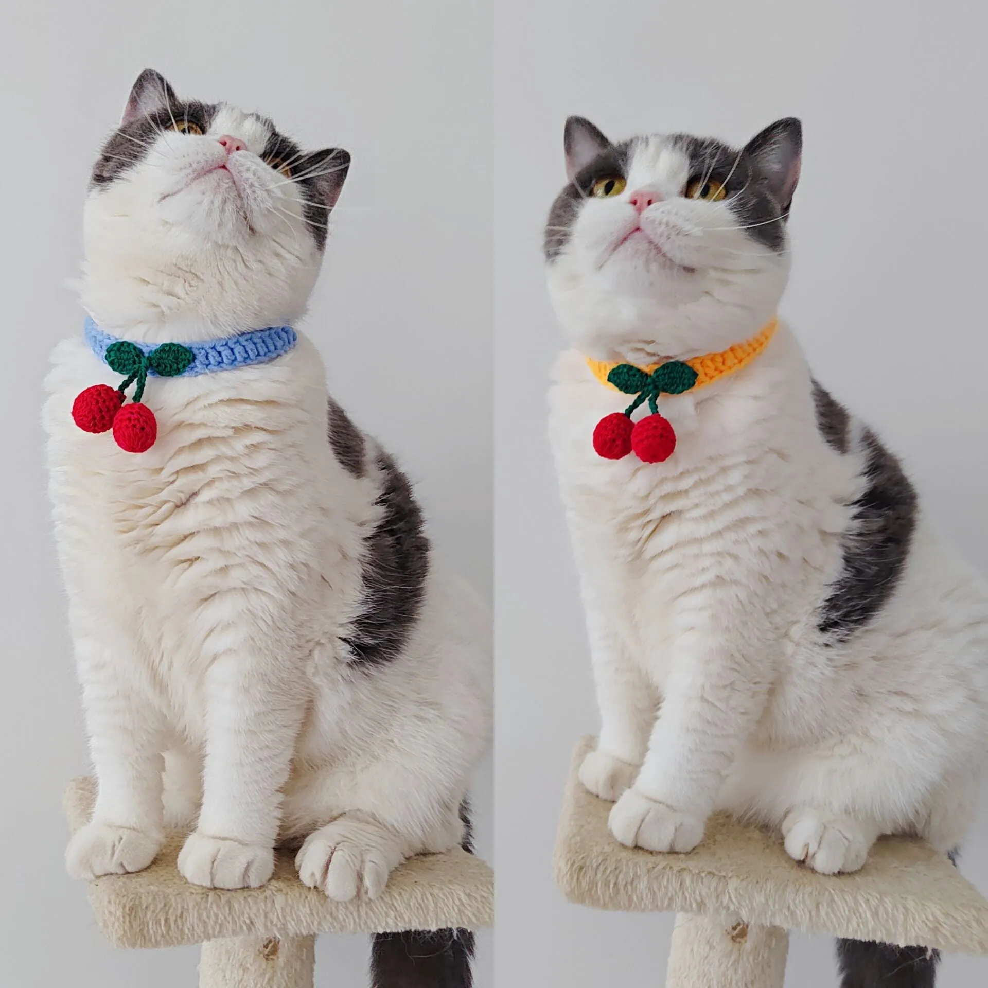 Handmade knitted cat collar in cotton thread with fruit pattern, free size 60cm, princess style