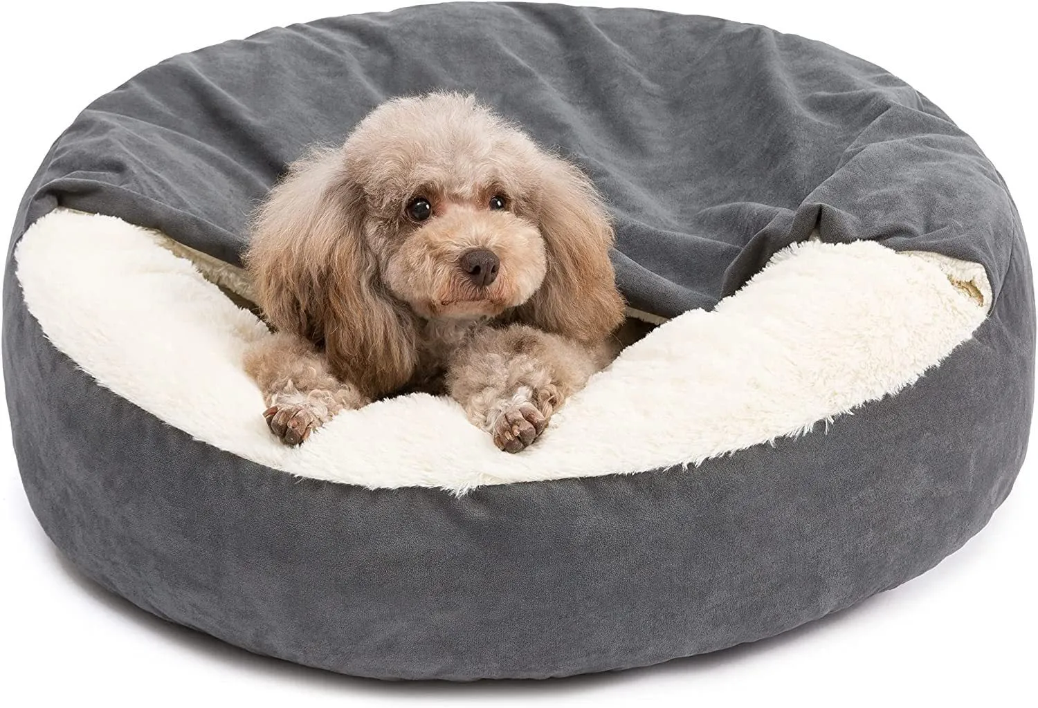 Grey beige teddy pet bed for small to medium dogs on floor