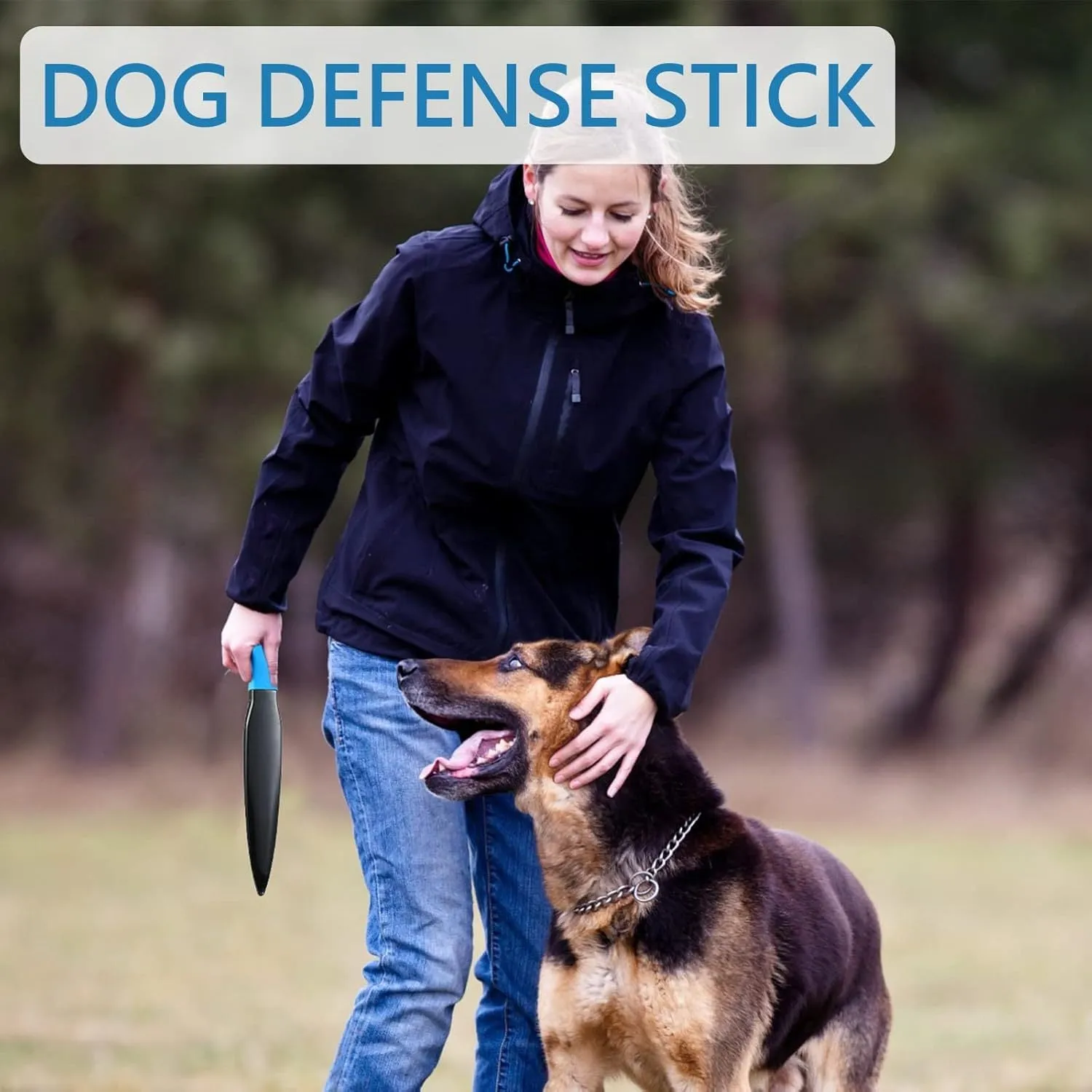 Blue-handled dog break stick measuring 35cm for small to medium dog training