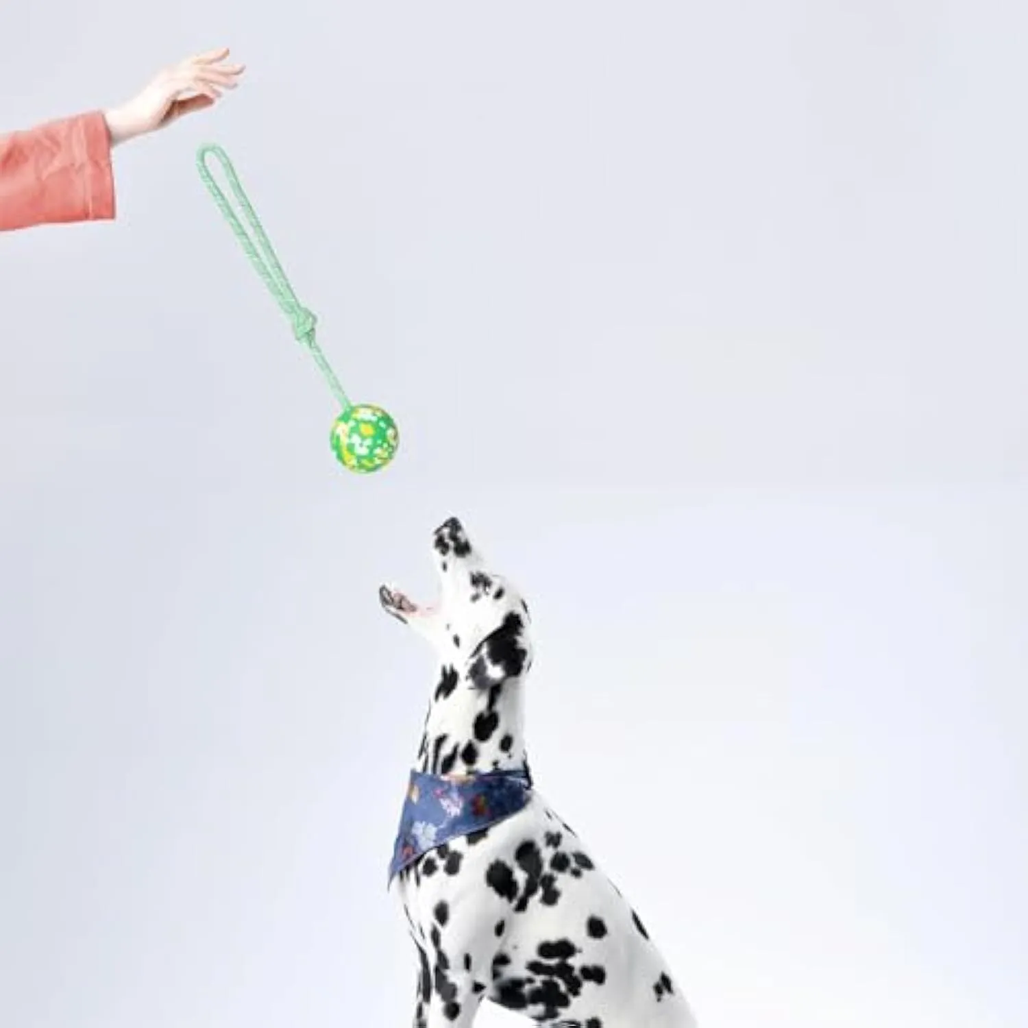 Dog ball on rope toy with natural rubber ball and nylon rope for interactive play