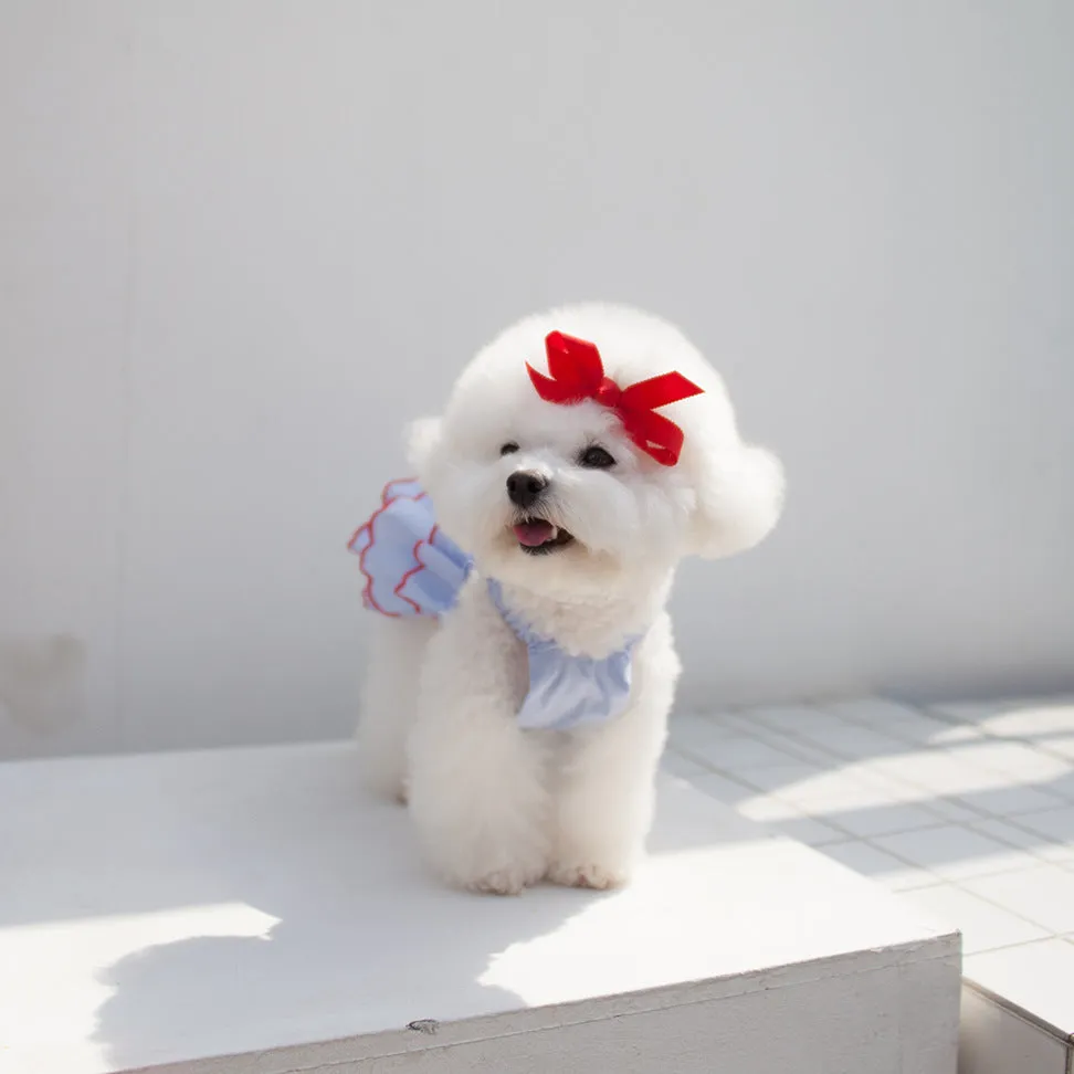 Summer thin polyester pet princess dress with cartoon print in suspender skirt style