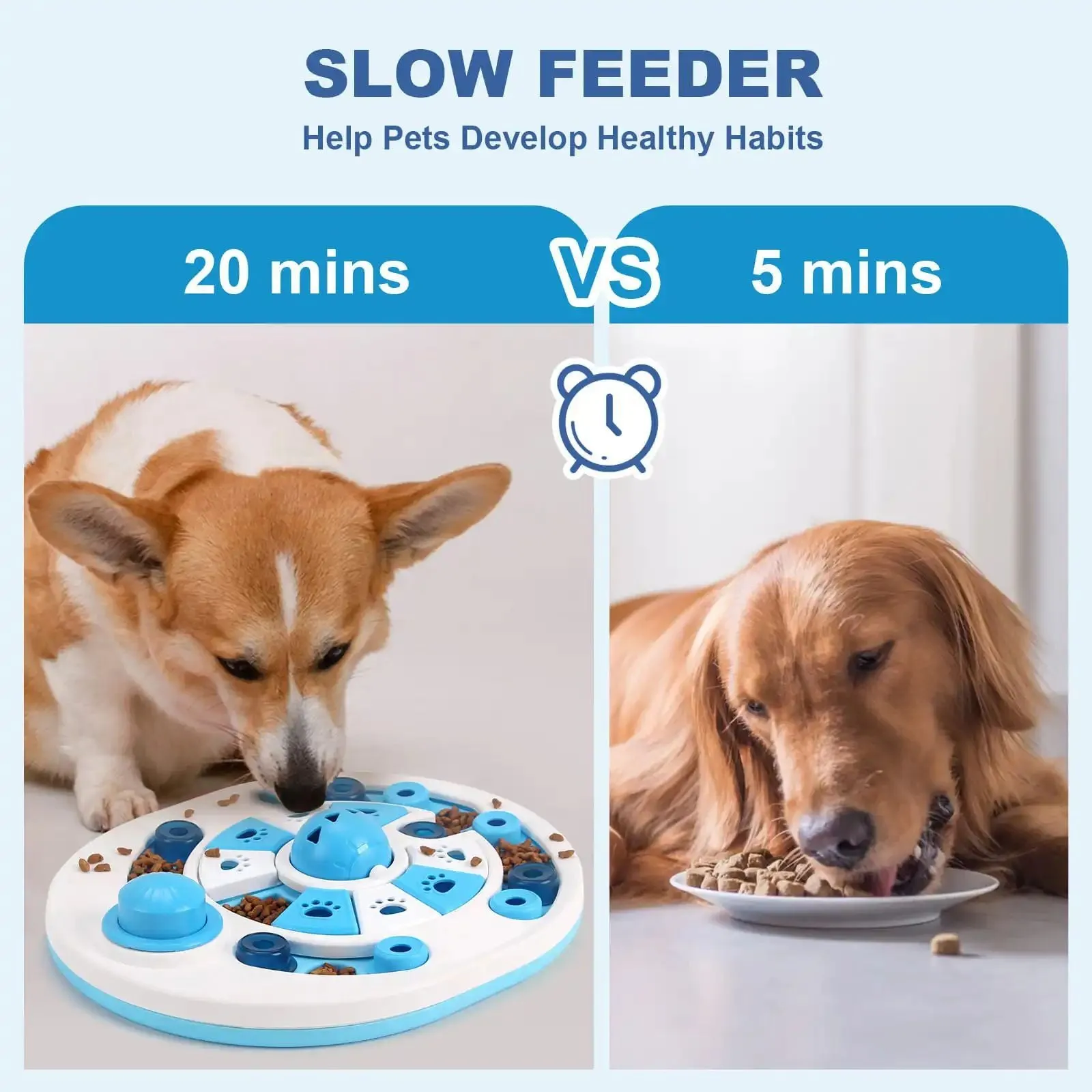 Blue dog puzzle toy with 24 compartments and spherical bells on a floor, showing clear top and non-slip base