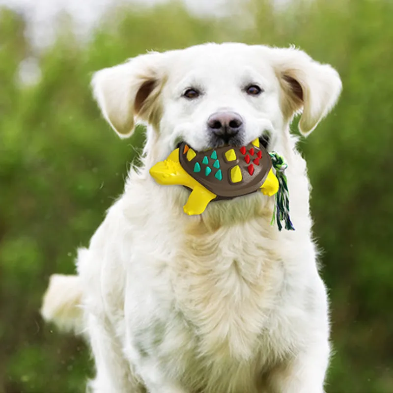 Natural rubber dog toothbrush chew toy in assorted colours with a knot tail for tug-of-war.