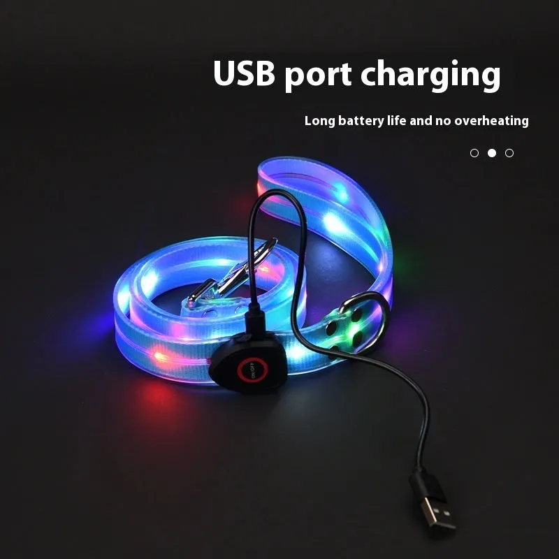 LED light-emitting pet collar and hand holding rope in orange for dog or cat visibility