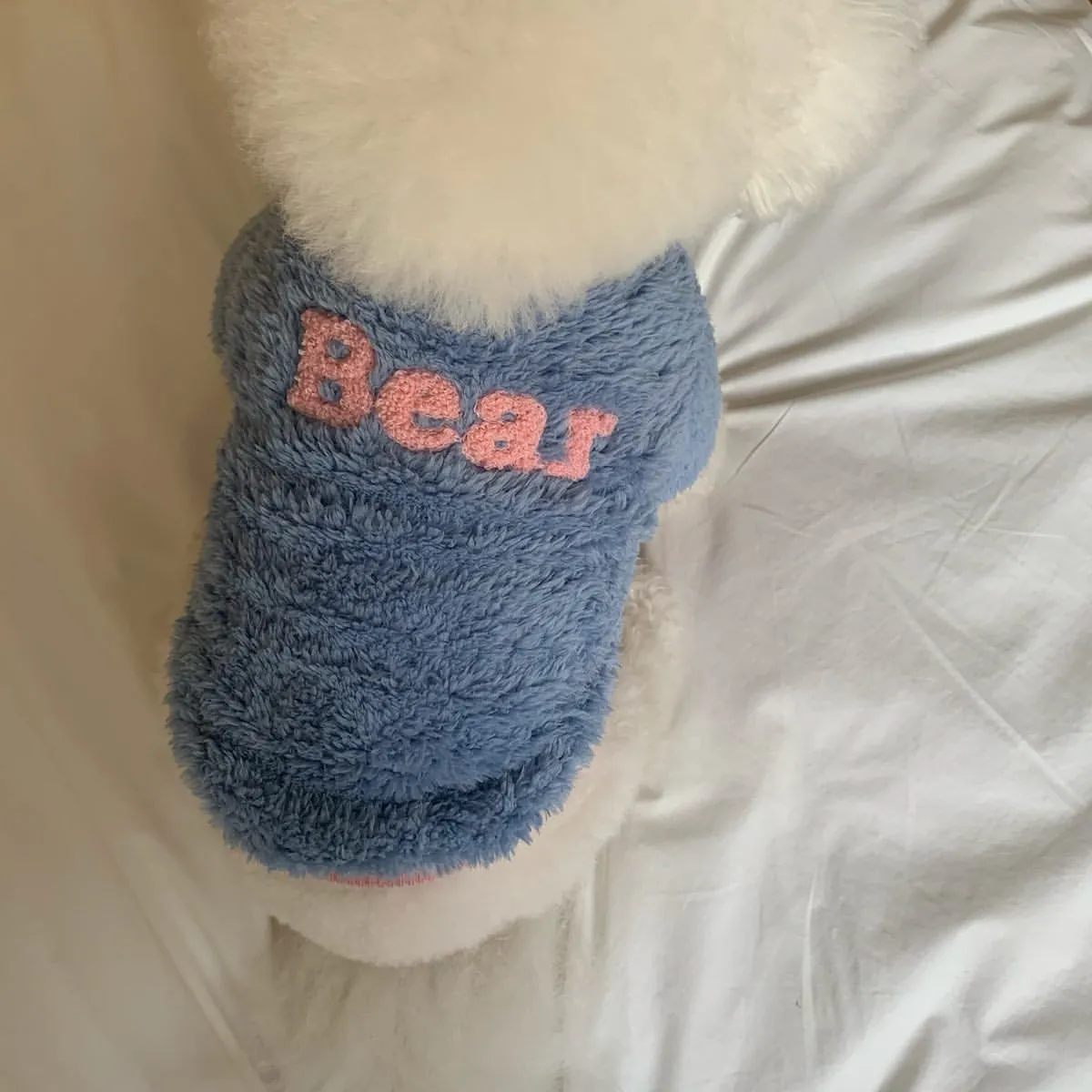 Blue polyester pet coat for small and medium dogs, sizes XS to XL, autumn winter style