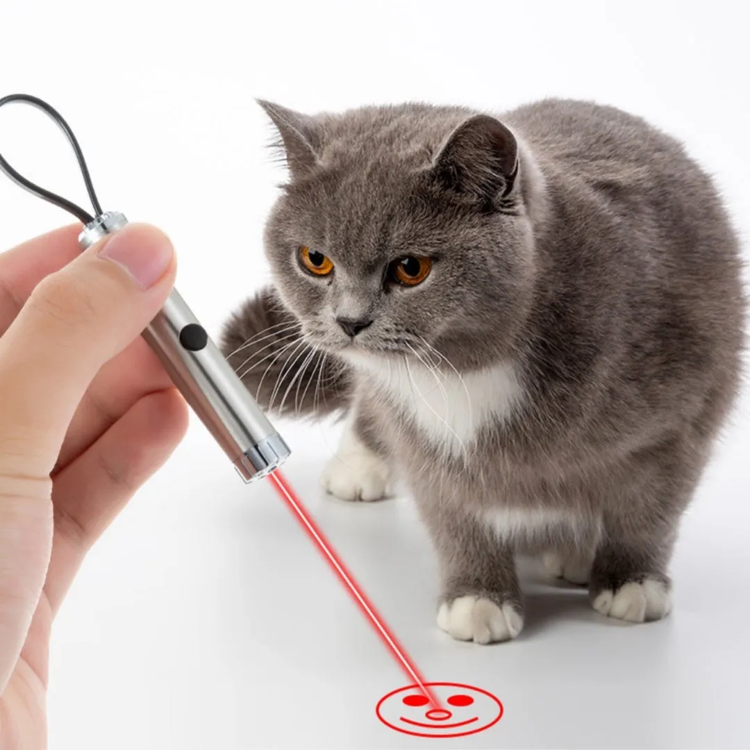 Silver stainless steel laser pen cat toy with four light spot patterns
