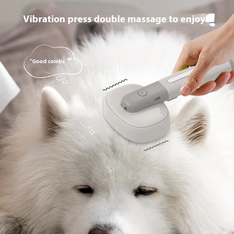 Pet comb for cats and dogs with negative ion, floating hair, electric massage, USB charging, ABS plastic