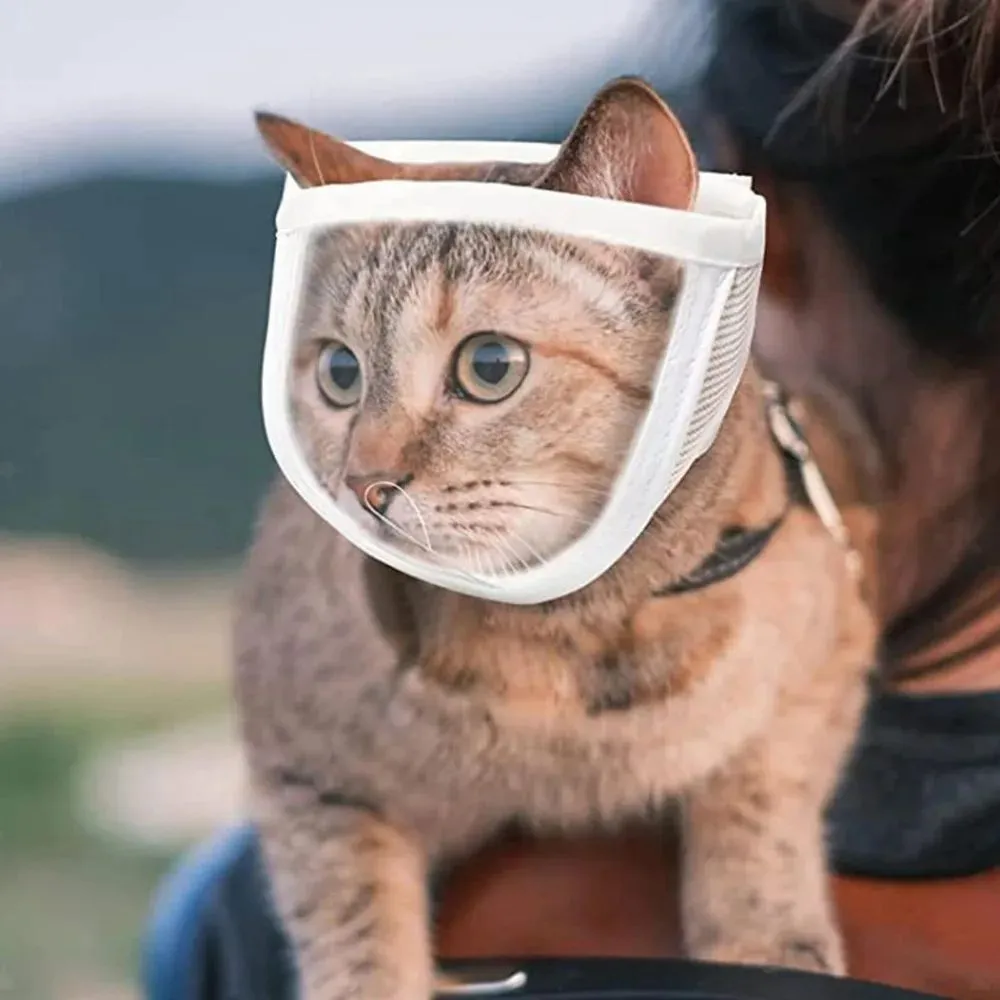 Clear cotton and PVC cat muzzle for anti bite grooming with adjustable strap