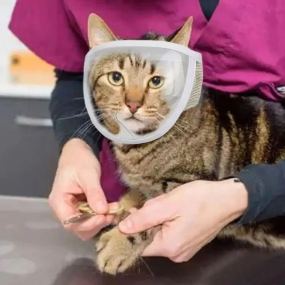 Clear cotton and PVC cat muzzle for anti bite grooming with adjustable strap