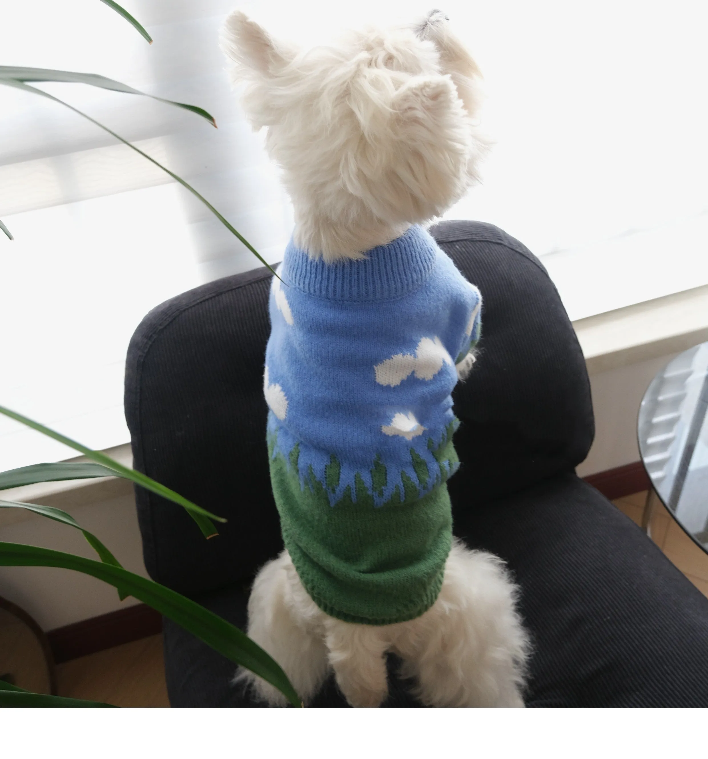 Warm Clouds crew neck pullover dog sweater in blue sky and white clouds colour