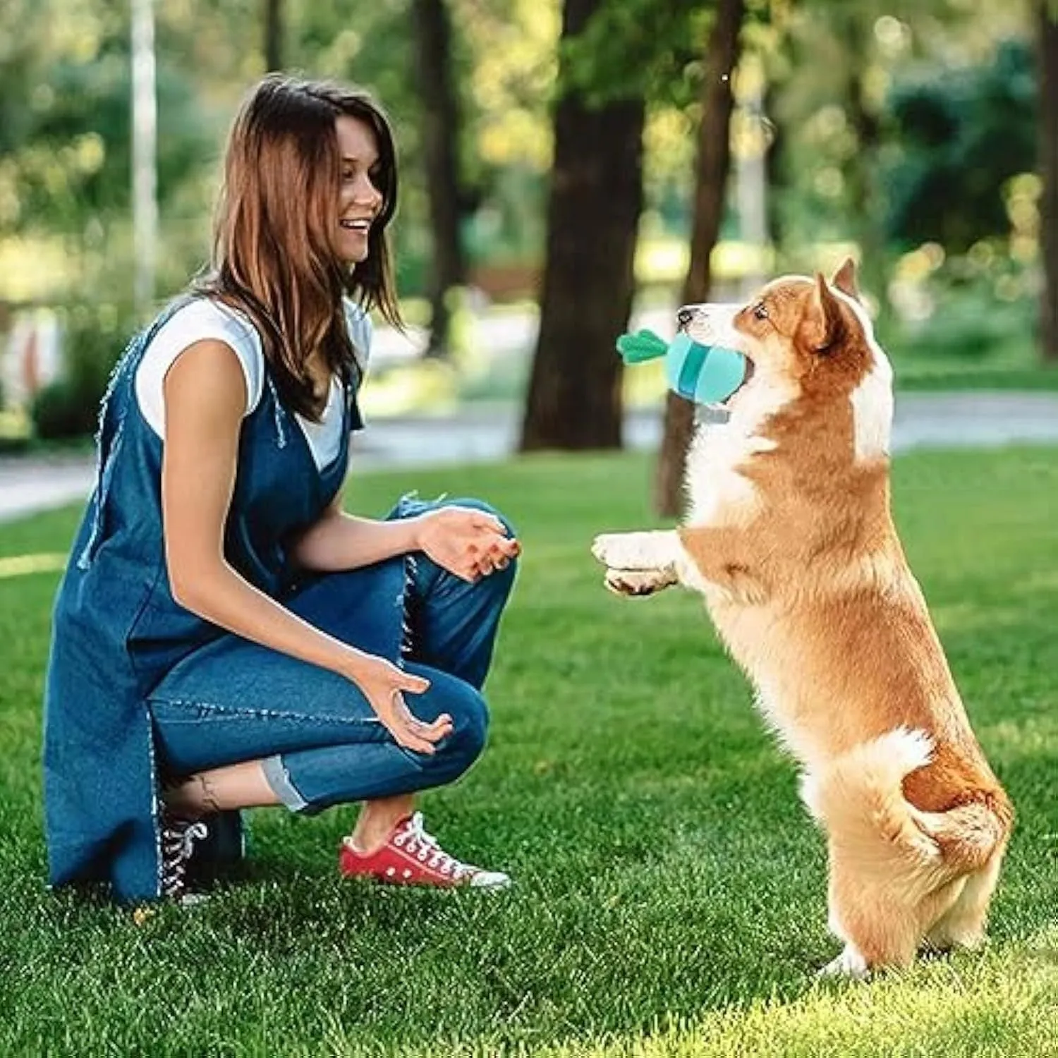 Blue and green durable rubber interactive dog treat dispenser puzzle ball for medium large dogs