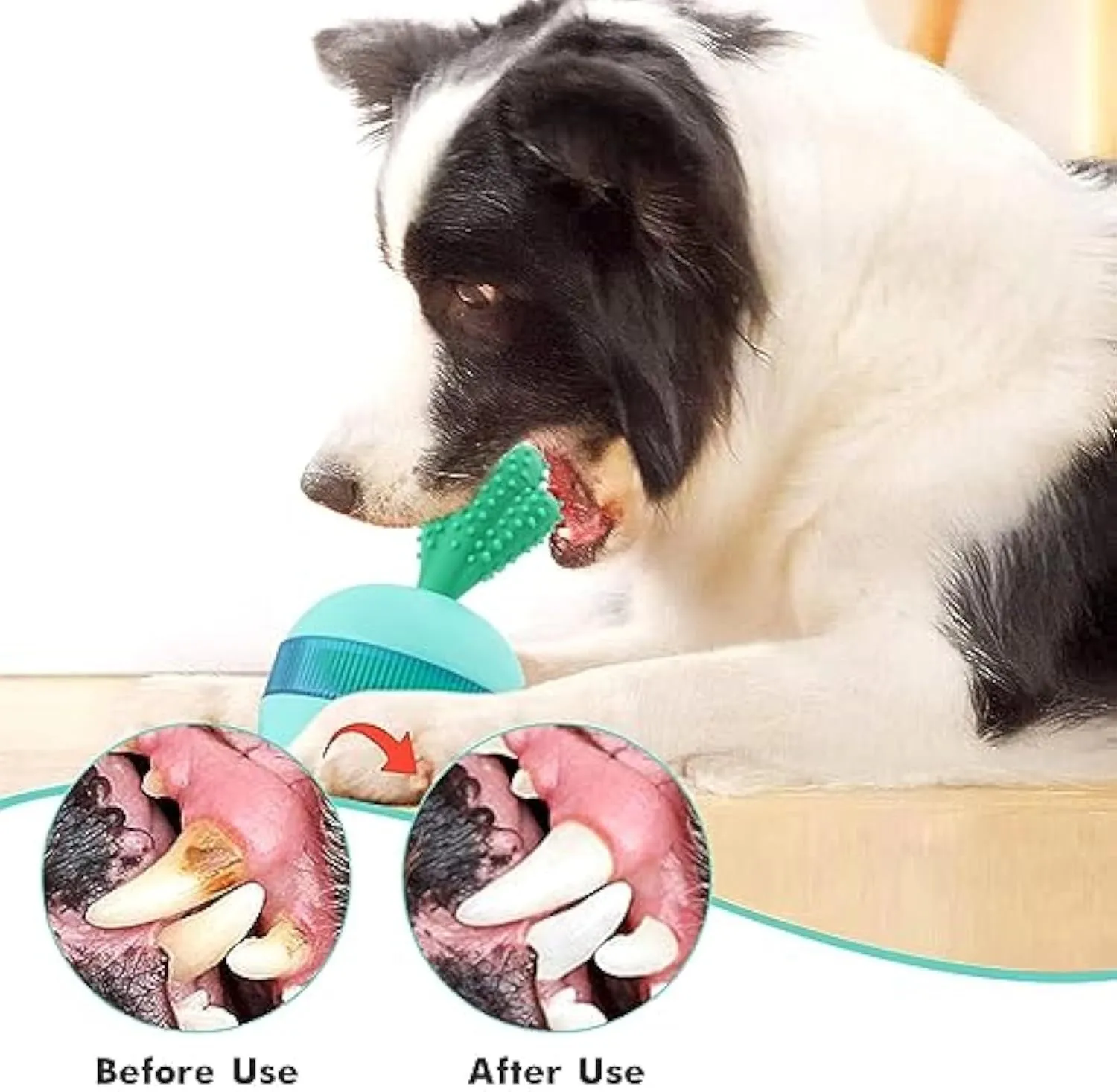 Blue and green durable rubber interactive dog treat dispenser puzzle ball for medium large dogs