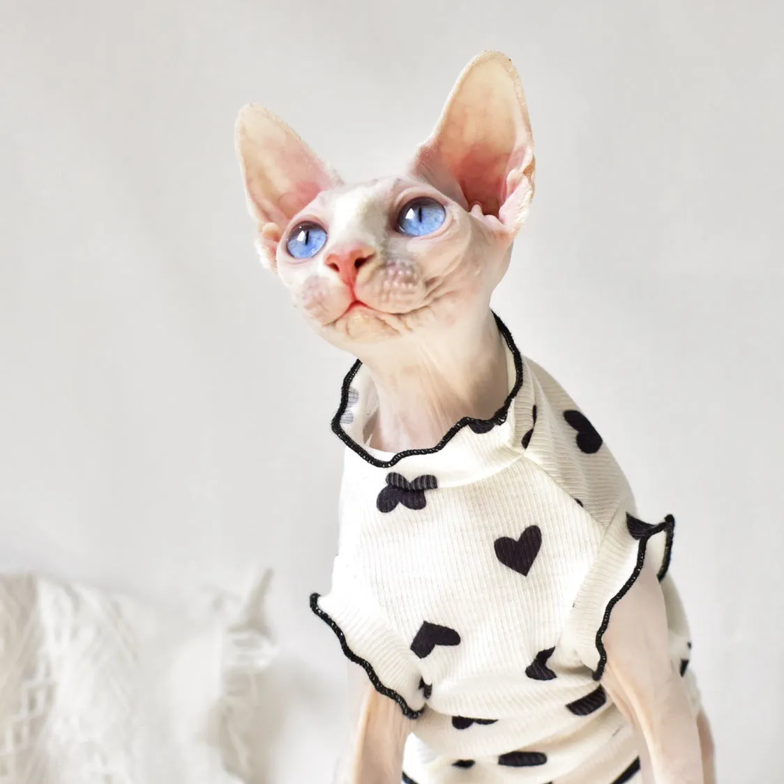 Sleeveless rubber cat vest for summer warmth, available in multiple colours and sizes XS to XXL