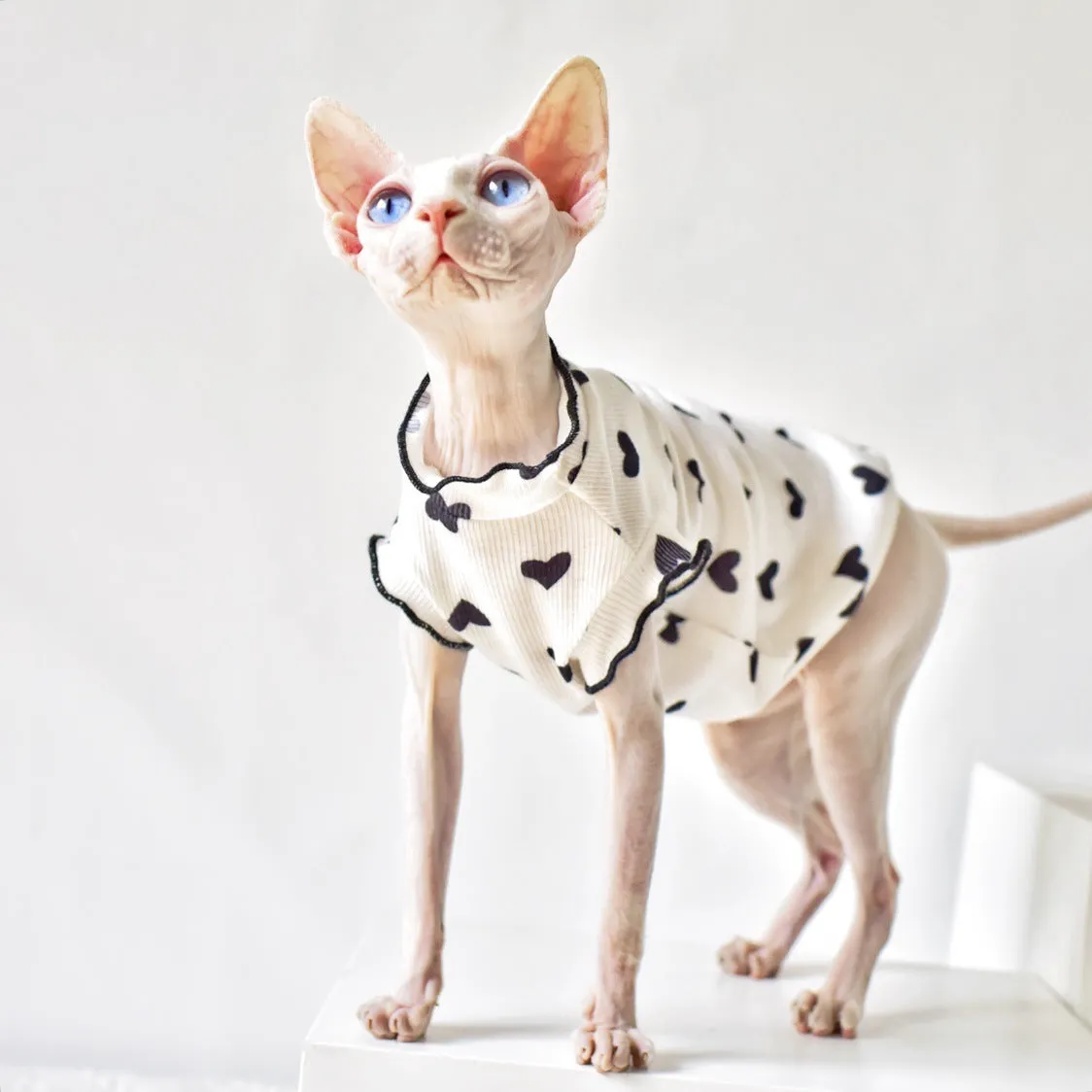 Sleeveless rubber cat vest for summer warmth, available in multiple colours and sizes XS to XXL