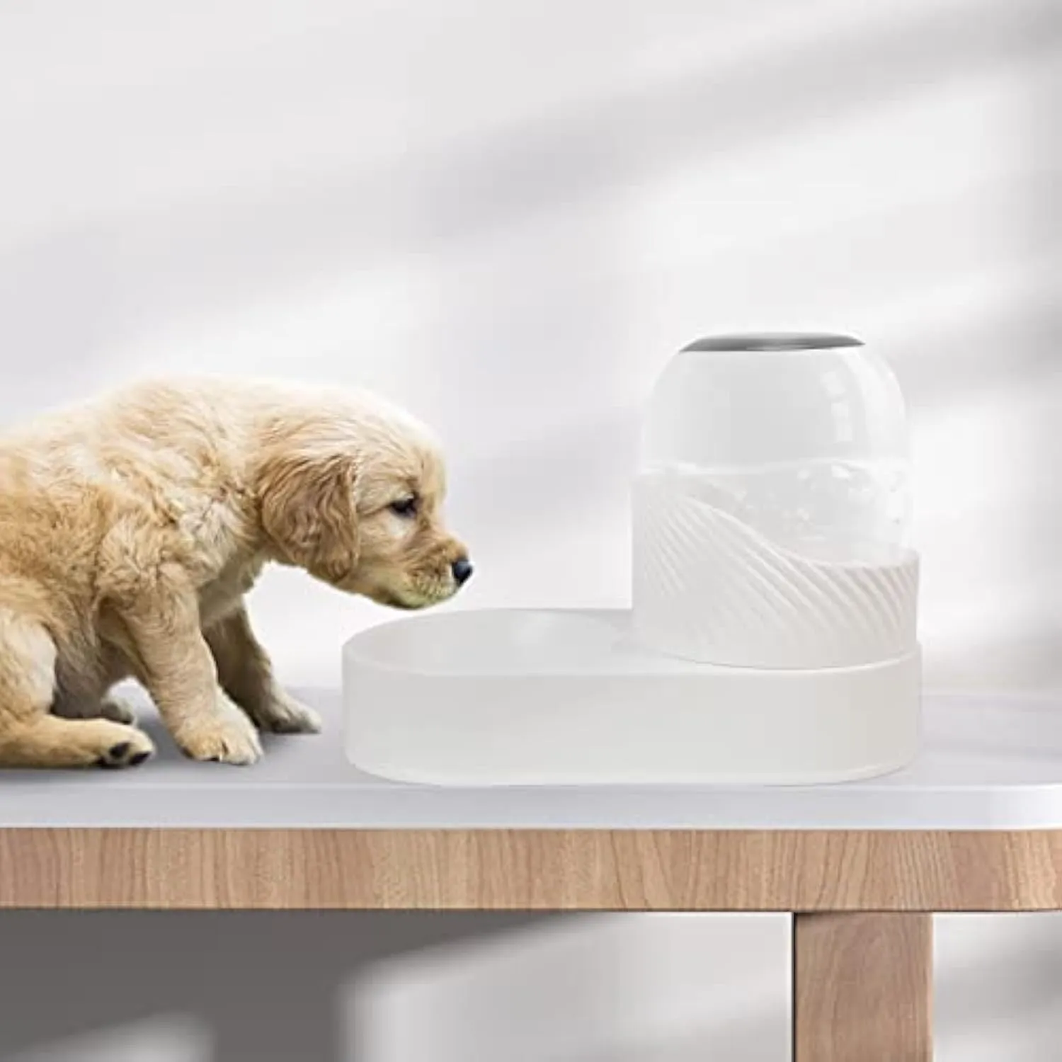 White gravity cat feeder and water dispenser set with wave design on a table.