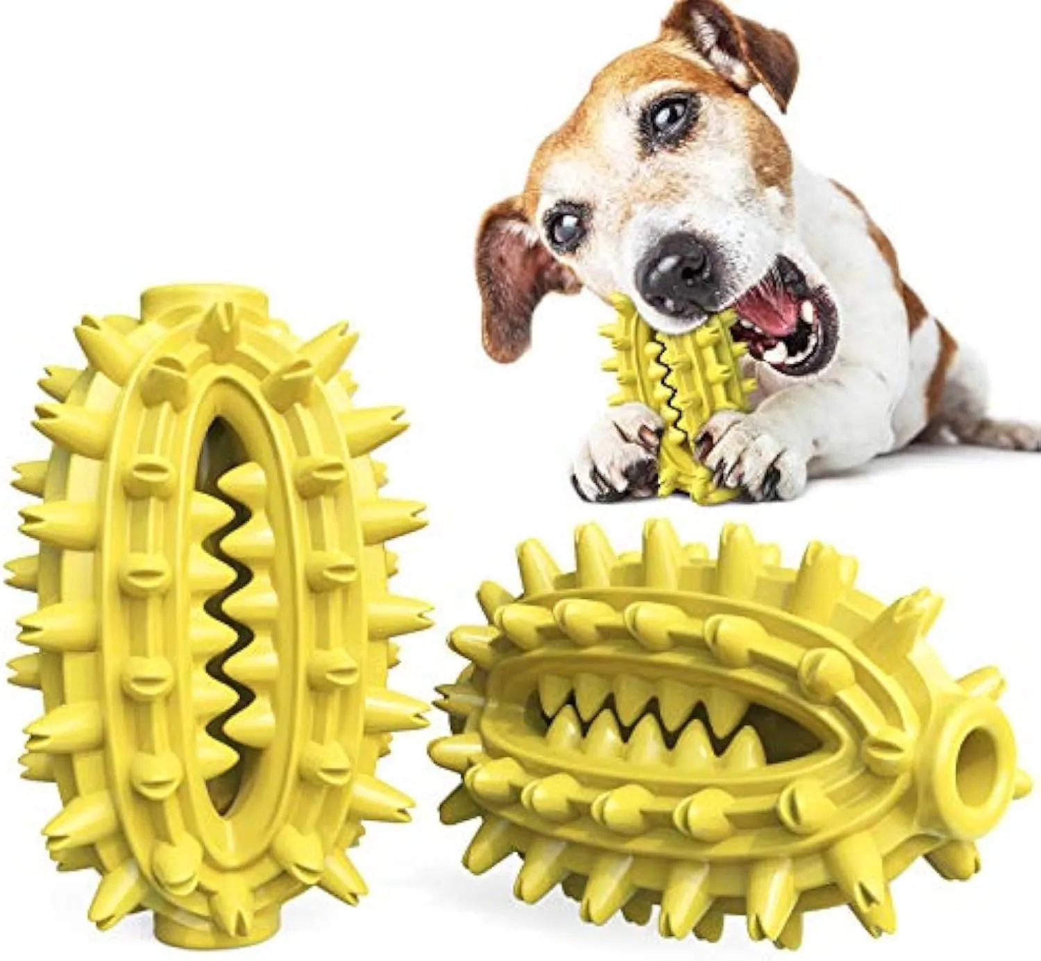 Green cactus-shaped rubber dog chew toy with textured bumps and a central food channel for dental care.