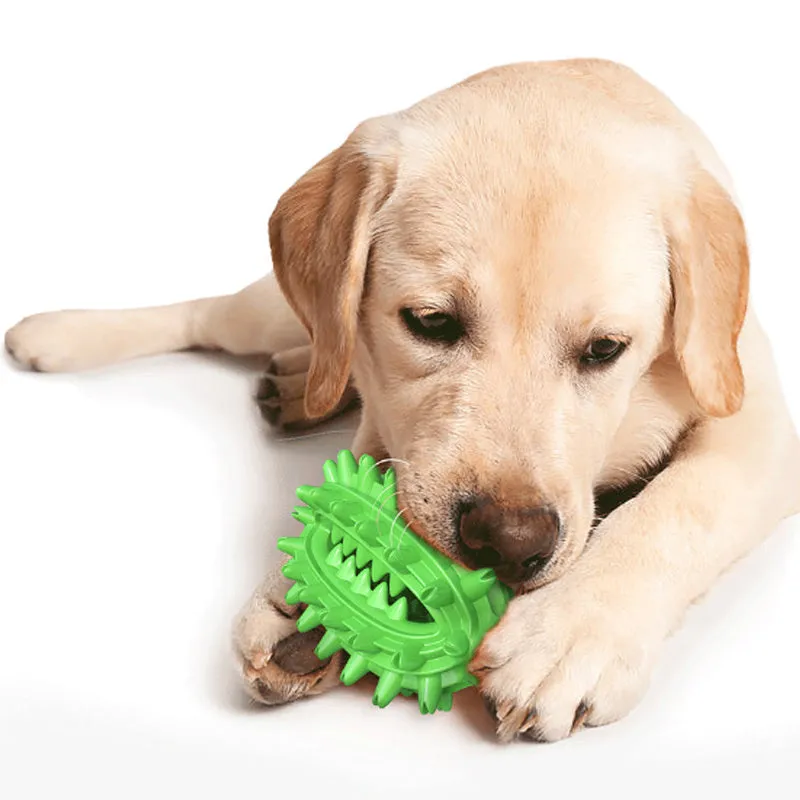 Green cactus-shaped rubber dog chew toy with textured bumps and a central food channel for dental care.