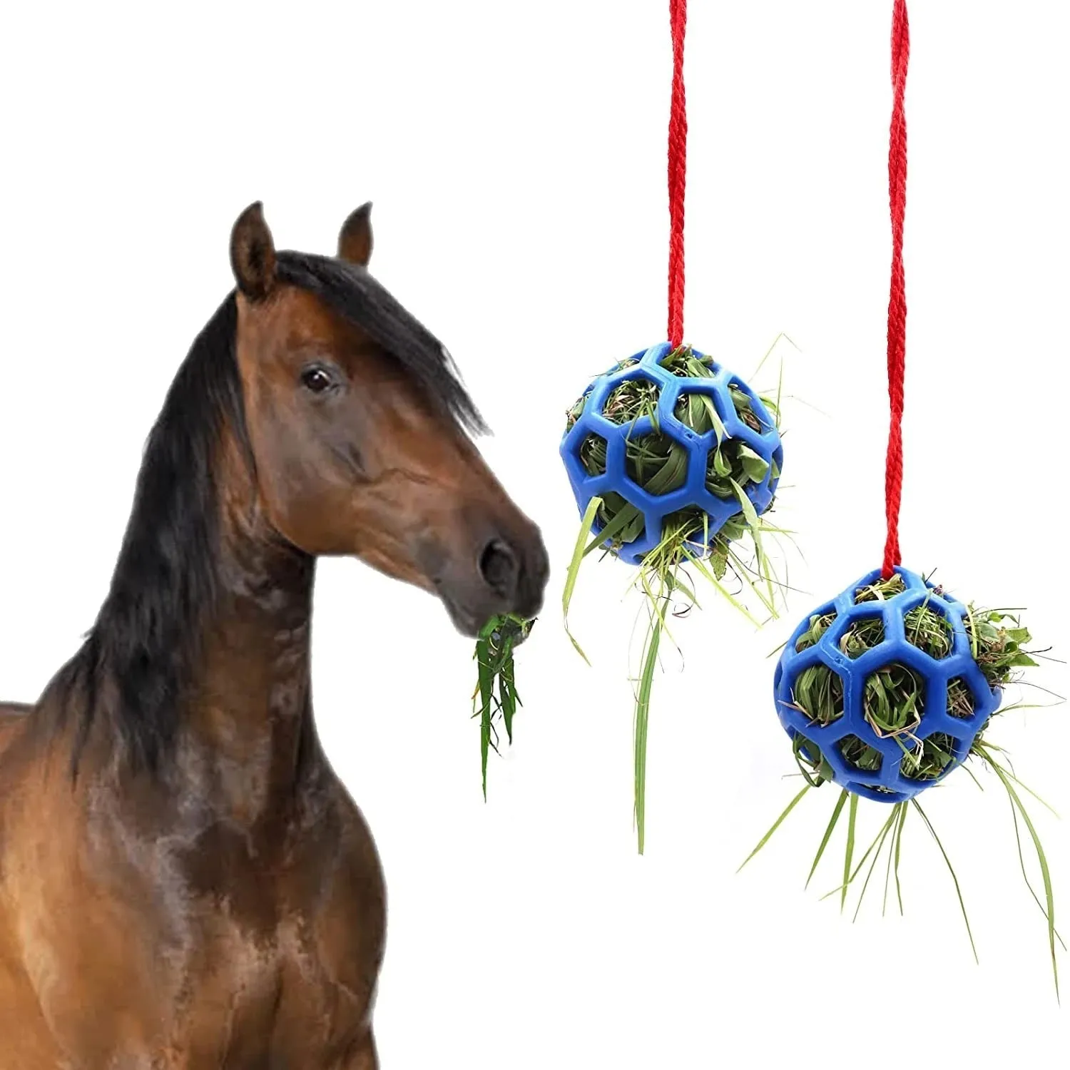 Stable hanging hay feeder toy ball with rope for small animals in red blue and green colours