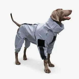 Dog wearing a reflective waterproof polyester raincoat in size M to 5XL for outdoor rain protection
