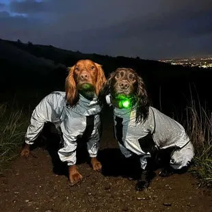 Dog wearing a reflective waterproof polyester raincoat in size M to 5XL for outdoor rain protection