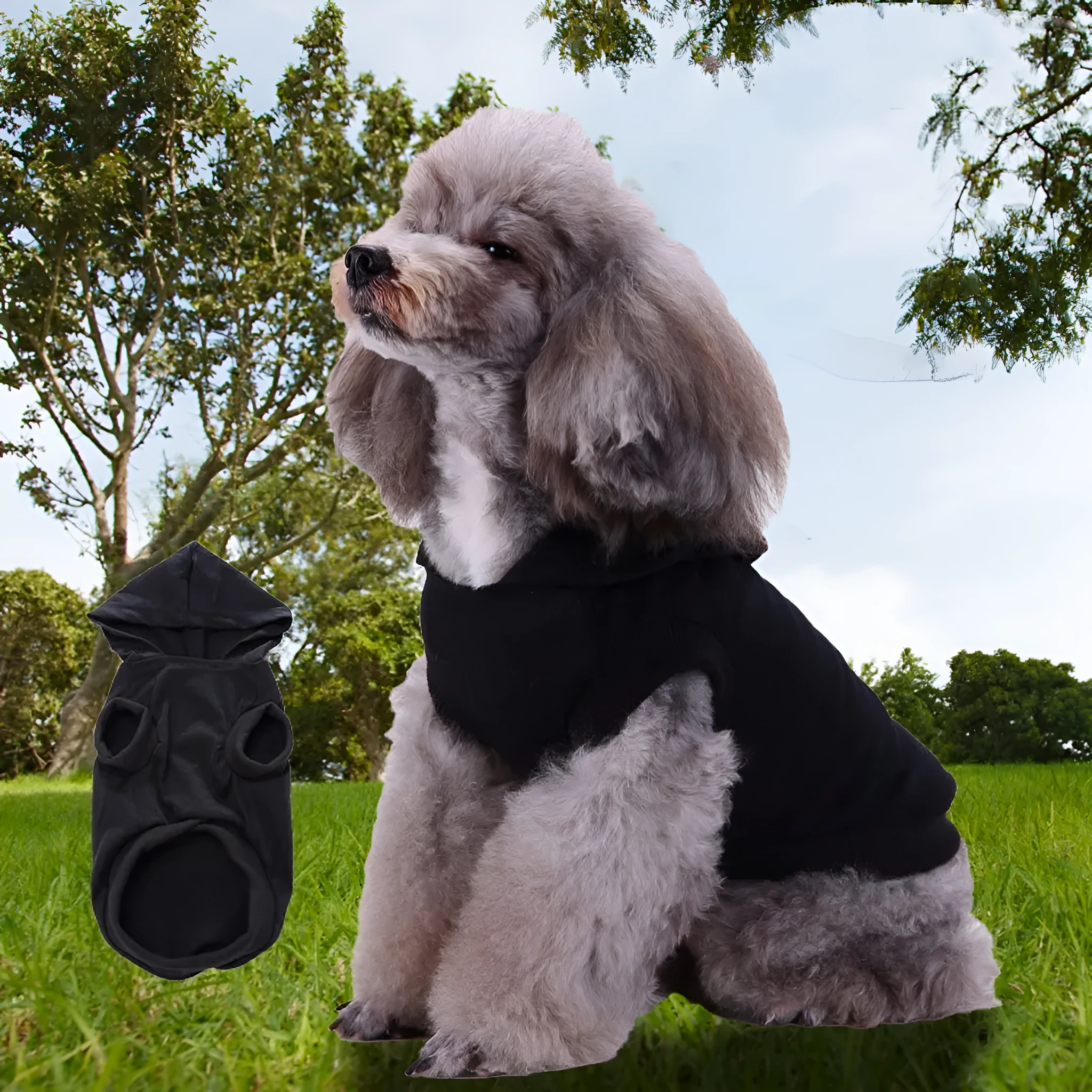 Small dog wearing a cotton thin pullover hooded T-shirt in red, casual spring summer pet clothing