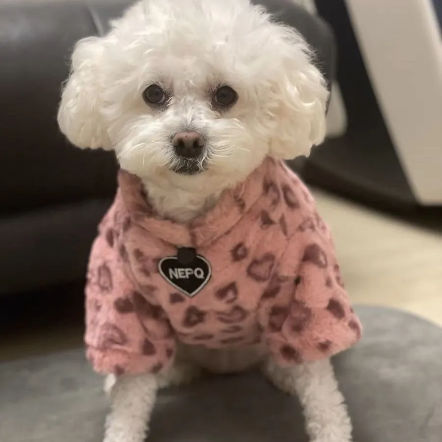 Extra thick fleece dog sweater pink leopard print thermal pet clothing for small medium dogs