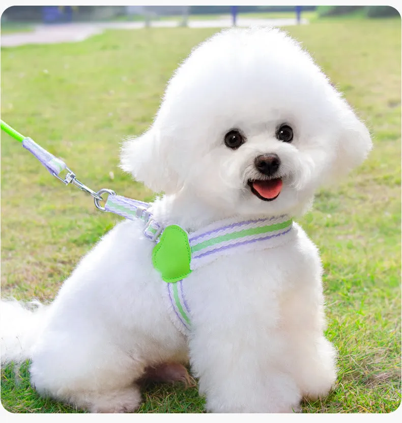 Blue breathable chest vest dog leash 1.5m for small medium dogs like Corgi Shiba Inu Bichon