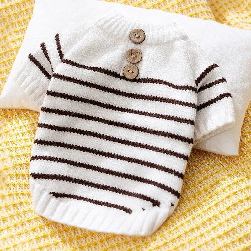 Small dog wearing a casual knit sweater in Beige Bear colour on beige background